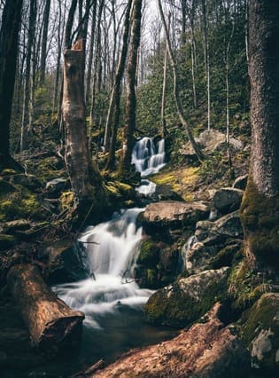 tennessee